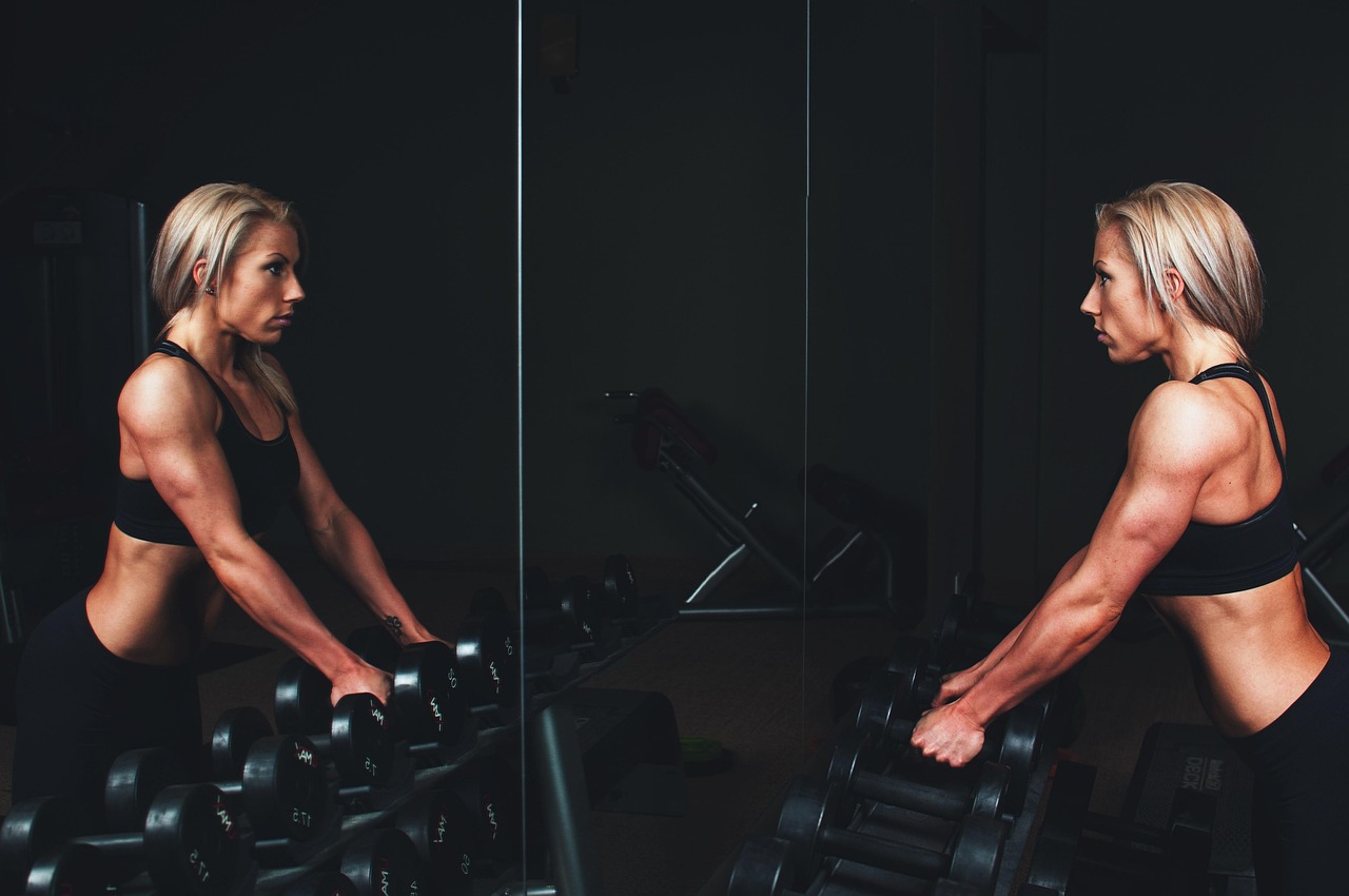 Parrotfit Fitness Club collection